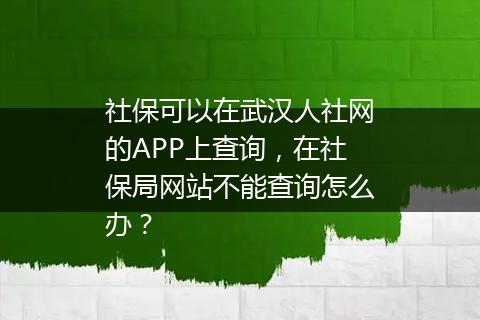 社保可以在武汉人社网的APP上查询，在社保局网站不能查询怎么办？