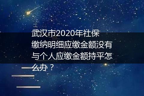 武汉市2020年社保缴纳明细应缴金额没有与个人应缴金额持平怎么办？