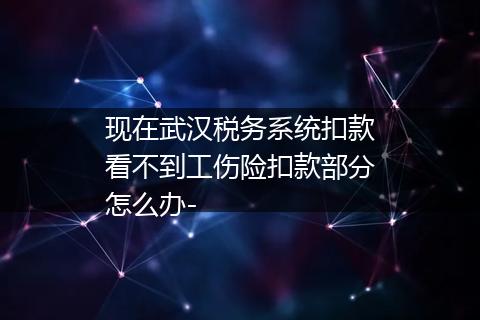 现在武汉税务系统扣款看不到工伤险扣款部分怎么办-