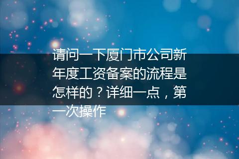 请问一下厦门市公司新年度工资备案的流程是怎样的？详细一点，第一次操作