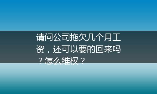 请问公司拖欠几个月工资，还可以要的回来吗？怎么维权？