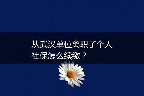 从武汉单位离职了个人社保怎么续缴？