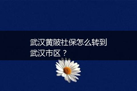 武汉黄陂社保怎么转到武汉市区？