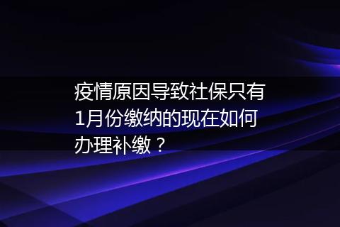 疫情原因导致社保只有1月份缴纳的现在如何办理补缴？