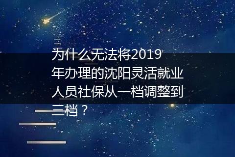为什么无法将2019年办理的沈阳灵活就业人员社保从一档调整到三档？