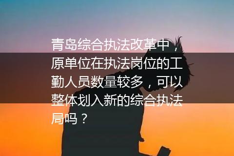青岛综合执法改革中，原单位在执法岗位的工勤人员数量较多，可以整体划入新的综合执法局吗？