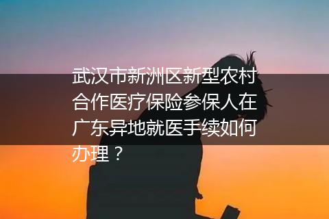 武汉市新洲区新型农村合作医疗保险参保人在广东异地就医手续如何办理？