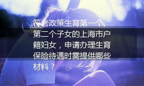 符合政策生育第一个、第二个子女的上海市户籍妇女，申请办理生育保险待遇时需提供哪些材料？