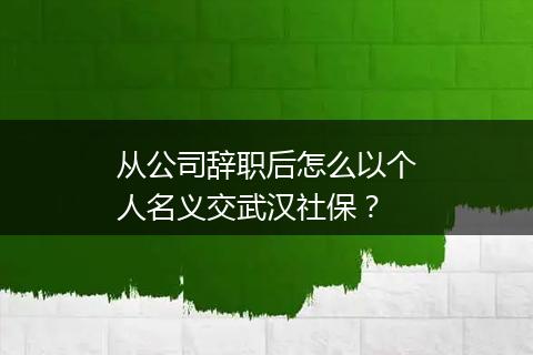 从公司辞职后怎么以个人名义交武汉社保？