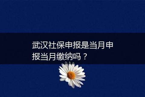 武汉社保申报是当月申报当月缴纳吗？