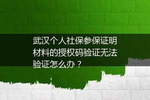 武汉个人社保参保证明材料的授权码验证无法验证怎么办？