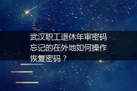 武汉职工退休年审密码忘记的在外地如何操作恢复密码？