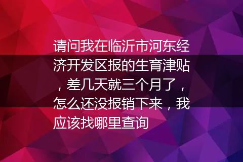 请问我在临沂市河东经济开发区报的生育津贴，差几天就三个月了，怎么还没报销下来，我应该找哪里查询