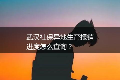 武汉社保异地生育报销进度怎么查询？