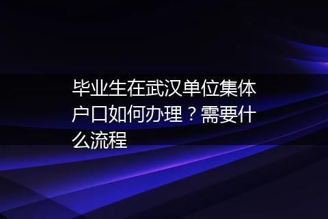 毕业生在武汉单位集体户口如何办理？需要什么流程