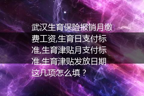 武汉生育保险报销月缴费工资,生育日支付标准,生育津贴月支付标准,生育津贴发放日期这几项怎么填？