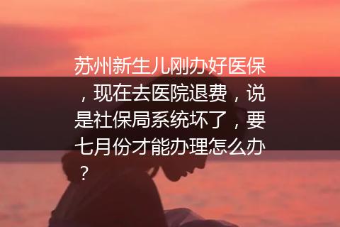 苏州新生儿刚办好医保，现在去医院退费，说是社保局系统坏了，要七月份才能办理怎么办？