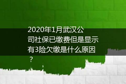 2020年1月武汉公司社保已缴费但是显示有3险欠缴是什么原因？