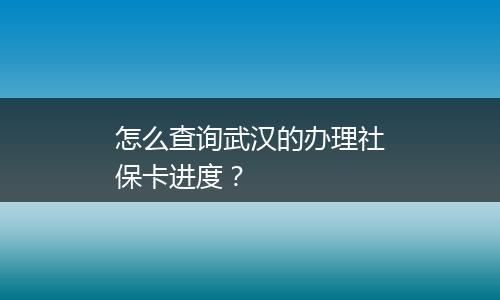 怎么查询武汉的办理社保卡进度？