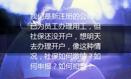 我们是新注册的公司，已为员工办理用工，但社保还没开户，想明天去办理开户，像这种情况，社保如何缴纳？如何申报？如何扣费？