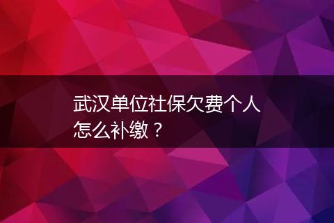 武汉单位社保欠费个人怎么补缴？