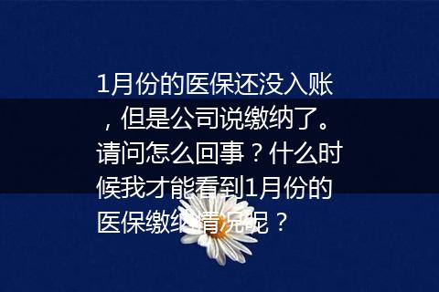 1月份的医保还没入账，但是公司说缴纳了。请问怎么回事？什么时候我才能看到1月份的医保缴纳情况呢？