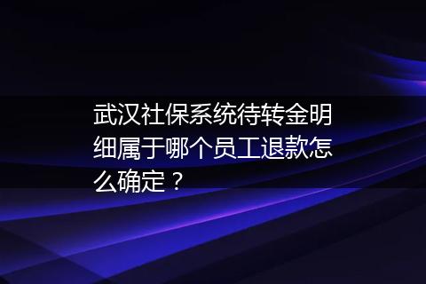 武汉社保系统待转金明细属于哪个员工退款怎么确定？