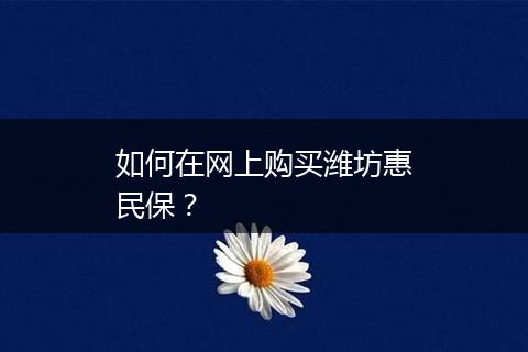 如何在网上购买潍坊惠民保？