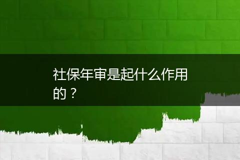 社保年审是起什么作用的？