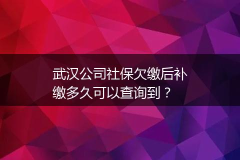 武汉公司社保欠缴后补缴多久可以查询到？