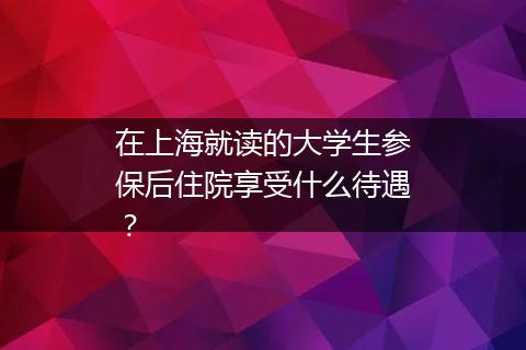 在上海就读的大学生参保后住院享受什么待遇？