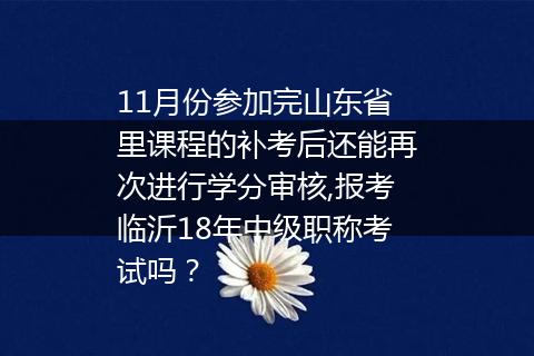 11月份参加完山东省里课程的补考后还能再次进行学分审核,报考临沂18年中级职称考试吗？