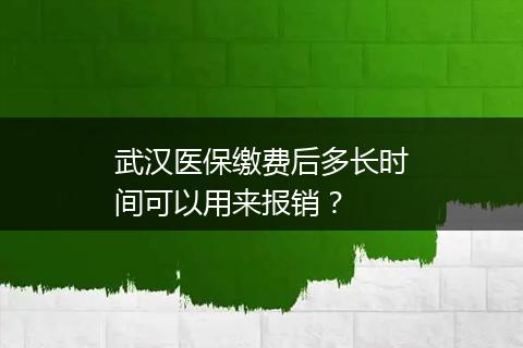 武汉医保缴费后多长时间可以用来报销？