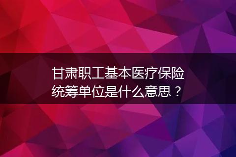 甘肃职工基本医疗保险统筹单位是什么意思？