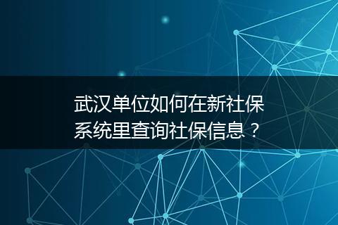 武汉单位如何在新社保系统里查询社保信息？