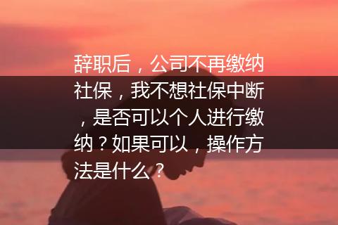 辞职后，公司不再缴纳社保，我不想社保中断，是否可以个人进行缴纳？如果可以，操作方法是什么？