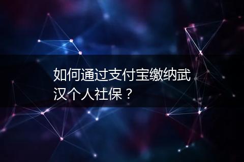 如何通过支付宝缴纳武汉个人社保？