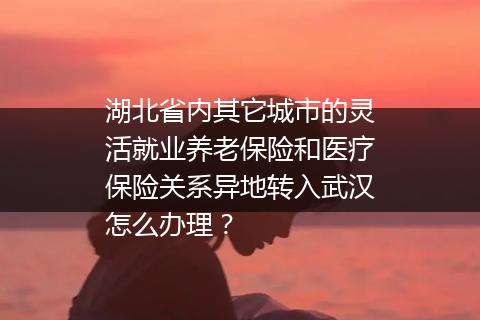 湖北省内其它城市的灵活就业养老保险和医疗保险关系异地转入武汉怎么办理？