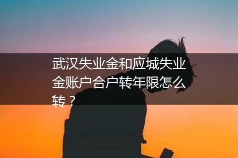 武汉失业金和应城失业金账户合户转年限怎么转？
