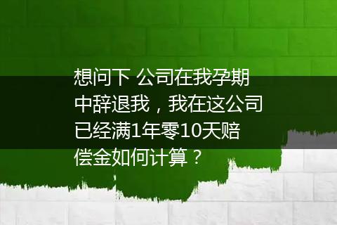 想问下 公司在我孕期中辞退我，我在这公司已经满1年零10天赔偿金如何计算？