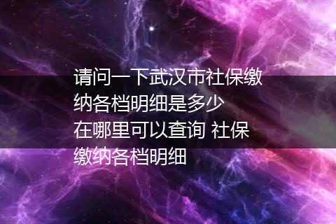 请问一下武汉市社保缴纳各档明细是多少  在哪里可以查询 社保缴纳各档明细