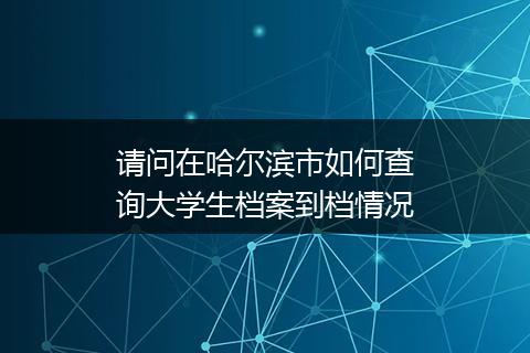 请问在哈尔滨市如何查询大学生档案到档情况