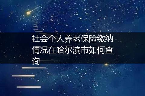 社会个人养老保险缴纳情况在哈尔滨市如何查询