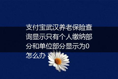 支付宝武汉养老保险查询显示只有个人缴纳部分和单位部分显示为0怎么办？