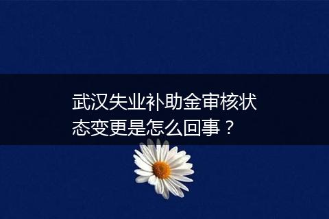 武汉失业补助金审核状态变更是怎么回事？
