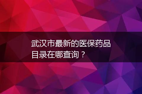 武汉市最新的医保药品目录在哪查询？