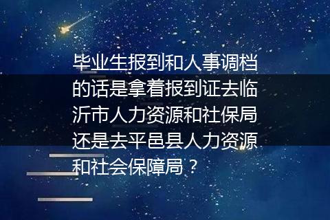毕业生报到和人事调档的话是拿着报到证去临沂市人力资源和社保局还是去平邑县人力资源和社会保障局？