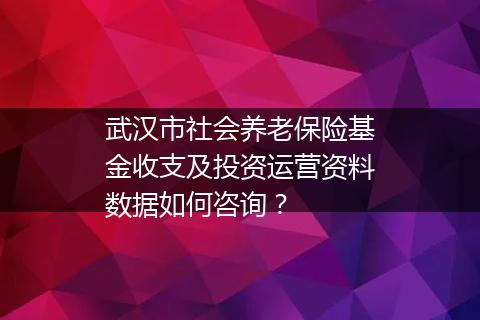 武汉市社会养老保险基金收支及投资运营资料数据如何咨询？