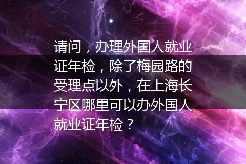 请问，办理外国人就业证年检，除了梅园路的受理点以外，在上海长宁区哪里可以办外国人就业证年检？