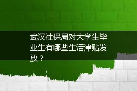 武汉社保局对大学生毕业生有哪些生活津贴发放？